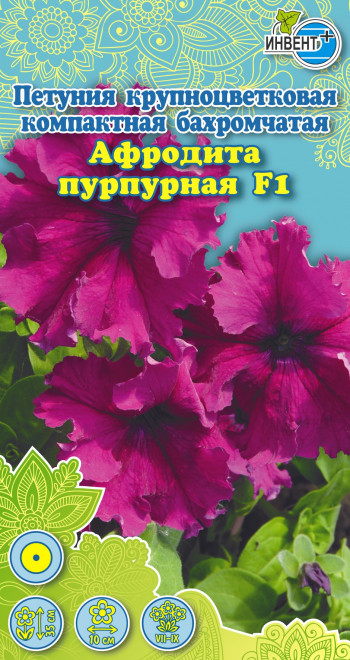 Петуния Афродита пурпурная F1