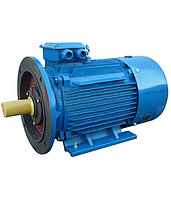 Электродвигатель 5АИ 355 S4 IM 2001 250 кВт/1500об.мин