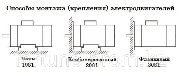 Электродвигатель АИР80А4 IM1081 1,1кВт 1500об/мин - фото 2 - id-p105337551