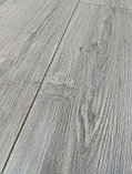 Ламинат EGGER PRO Classic Дуб Шерман светло серый 8/32, с фаской, фото 4