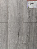 Ламинат EGGER PRO Classic Дуб Шерман светло серый 8/32, с фаской, фото 3
