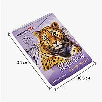 Скетчбук, белая бумага 180 г/м2, 165х240 мм, 20 л., гребень, твердая обложка, BRAUBERG ART CLASSIC, фото 4