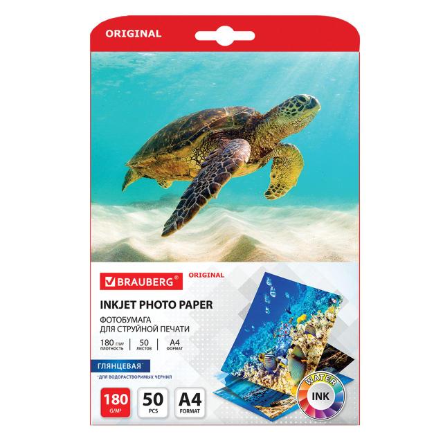 Қыздардың юбкаларын көтеріп, сосын трахнияға түсірген фотолары