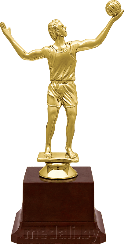 Награда Фигура Волейбол - фото 1 - id-p105402666
