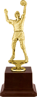 Награда Фигура Волейбол
