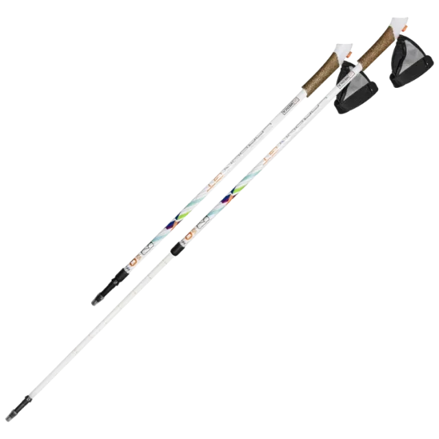 Палки для скандинавской ходьбы Carbon GT