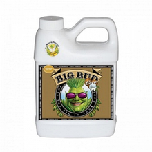 Стимулятор Big Bud Coco Liquid 250 ml