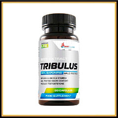 Трибулус - WestPharm Tribulus 500 мг 90 капсул