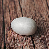 Фигурка для поделок и декорирования «Яйцо» (набор 12 шт), размер 1 шт: 2,5×4 см, фото 2