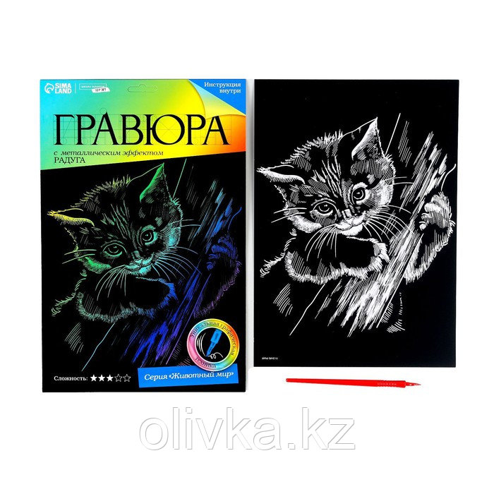 Гравюра «Котёнок» с металлическим эффектом «радуга» А4 - фото 2 - id-p105446823