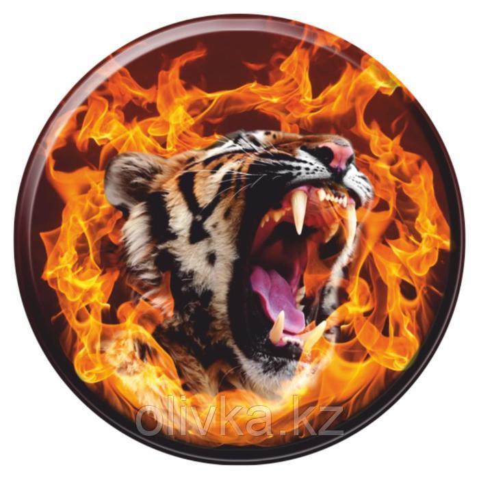 Наклейка "Тигр в огне", d=56 см - фото 1 - id-p105459792