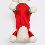 Новогодний костюм "Снегурочка" для собак, размер L, красный (ДС 34, ОШ 30, ОГ 44 см), фото 4