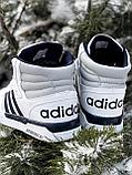 Кеды Adidas hoops выс бел тем син зим 265-8, фото 6