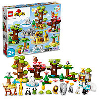 LEGO: Әлемнің жабайы жануарлары DUPLO 10975