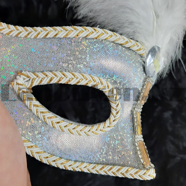Venetsianskaya karnaval'naya maska