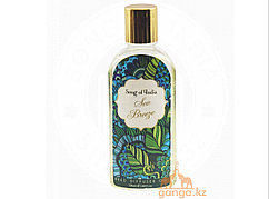 Запасной диффузор Морской бриз (Sea breeze diffuser SONG OF INDIA), 100 мл