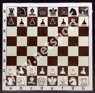 Доска шахматная демонстрационная  с фигурами