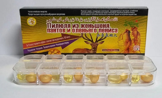 Үй жануарларына арналған порно