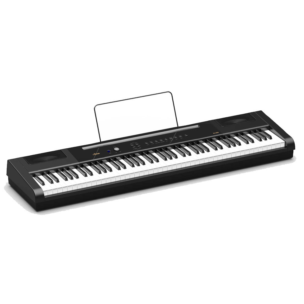 Цифровое пианино Artesia PA-88H+ Black - фото 2 - id-p105618183