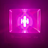 Фитопрожектор полного спектра IP65 50 ватт БУ, фото 4