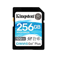 Кингстон SDG3/256GB SD 256GB жад картасы