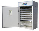 Инкубатор профессиональный , цифровой, полный автомат S-1056 ЯИЦ, фото 2