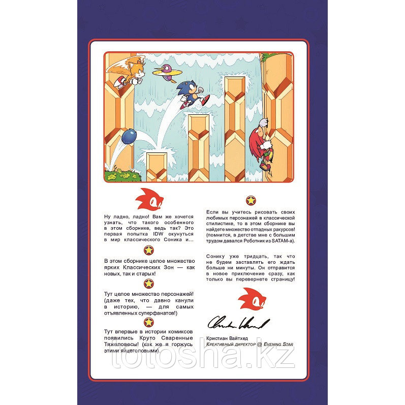 Книга «Sonic. 30-летний юбилей. Комикс (перевод от Diamond Dust)» Флинн Й., Галлиган Г., МакЭлрой К. - фото 4 - id-p105690676