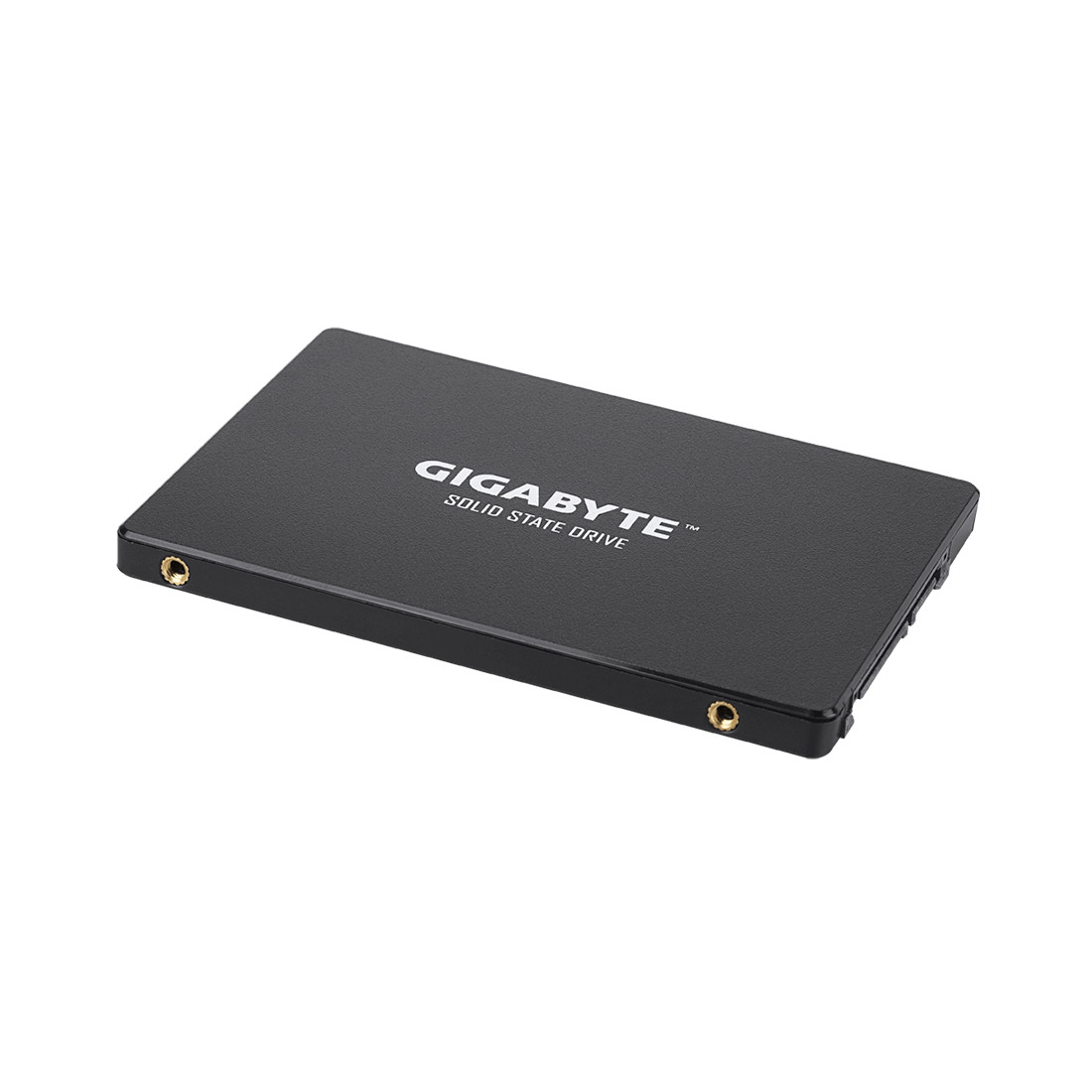 Твердотельный накопитель внутренний Gigabyte GSTFS31240GNTD - фото 2 - id-p105685321