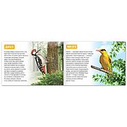 Обучающие книги набор «Удивительный мир» 6 шт. по 20 стр., фото 4