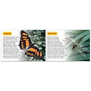 Обучающие книги набор «Удивительный мир» 6 шт. по 20 стр., фото 5