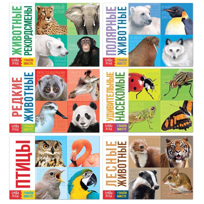 Обучающие книги набор «Удивительный мир» 6 шт. по 20 стр., фото 1