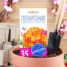Семена комнатных цветов Пеларгония "Агроуспех", "Oранж", 4 шт.