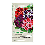 Семена комнатных цветов Глоксиния Аванти "Смесь", F1, 4 шт., фото 2