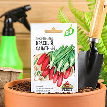 Семена Лук на зелень репчатый Красный салатный, 0,5 г  серия ХИТ х3