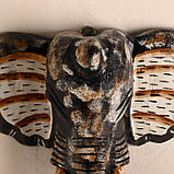 Сувенир дерево "Голова слона" 30 см, фото 2
