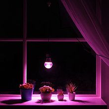 Светильник для растений 15 Вт, 12 мкмоль/с, провод 1,7 метра с выключателем, липучка на окно