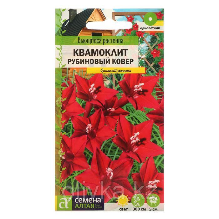 Семена цветов Квамоклит "Рубиновый ковер", перистый, Сем. Алт, ц/п, 0,2 г