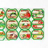 Набор цветных этикеток для домашних заготовок из овощей, грибов и зелени 6.4×5.2 см, фото 7