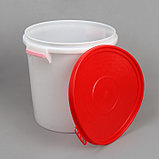 Бак пищевой «Для солений», 45 л, с герметичной крышкой, цвет МИКС, фото 2