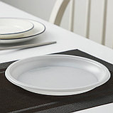 Набор одноразовой посуды «Праздничный», 6 персон, цвет МИКС, фото 5