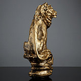 Фигура "Лев на камне" бронза 25х17х41см, фото 4