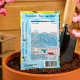 Семена цветов Циния "Кактусовидная смесь", О, 0,2 г, фото 4