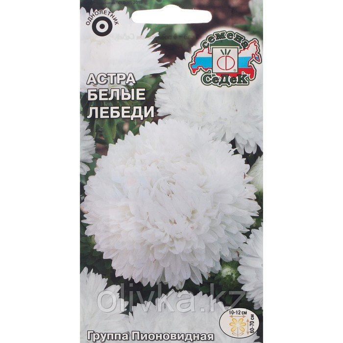 Семена цветов Астра "Белые лебеди",  пионовидная, белая, О, 0,2 г