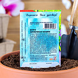 Семена цветов Астра "Сембат", пионовидная "Серебрянная башня", 0.2 г, фото 2