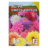 Семена цветов Астра, смесь сортов, 0,2 г, фото 5
