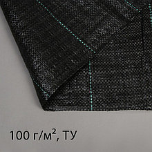 Агроткань застилочная, с разметкой, 10 × 1.6 м, плотность 100 г/м², полипропилен, чёрная