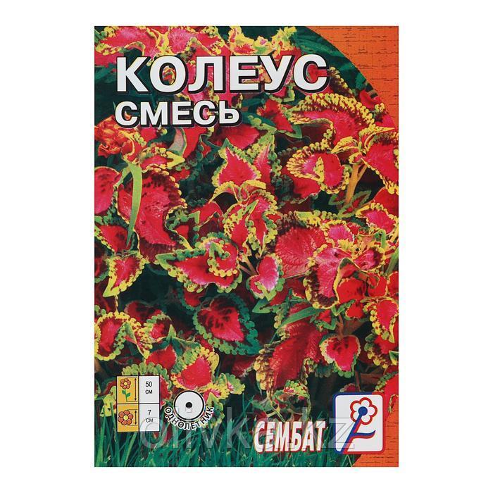 Семена цветов Колеус, смесь 0,05 г