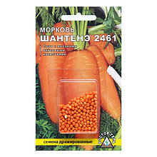 Семена Морковь "Шантенэ 2461",  300 шт