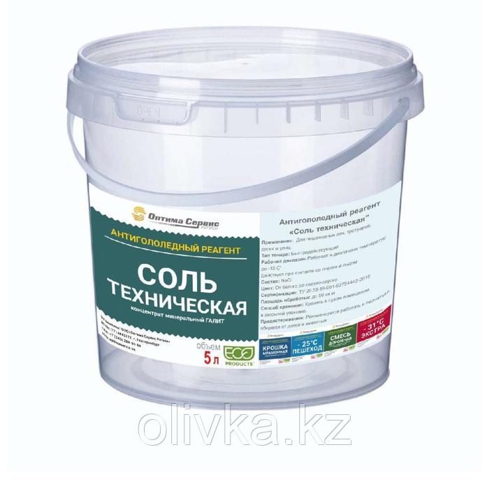 Реагент антигололёдный (соль техническая), 5 кг, ведро