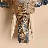 Сувенир дерево "Голова слона" 28х26х10,5 см, фото 5